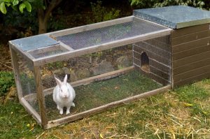 Jaulas grandes para conejos
