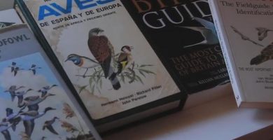 Libros sobre ornitología